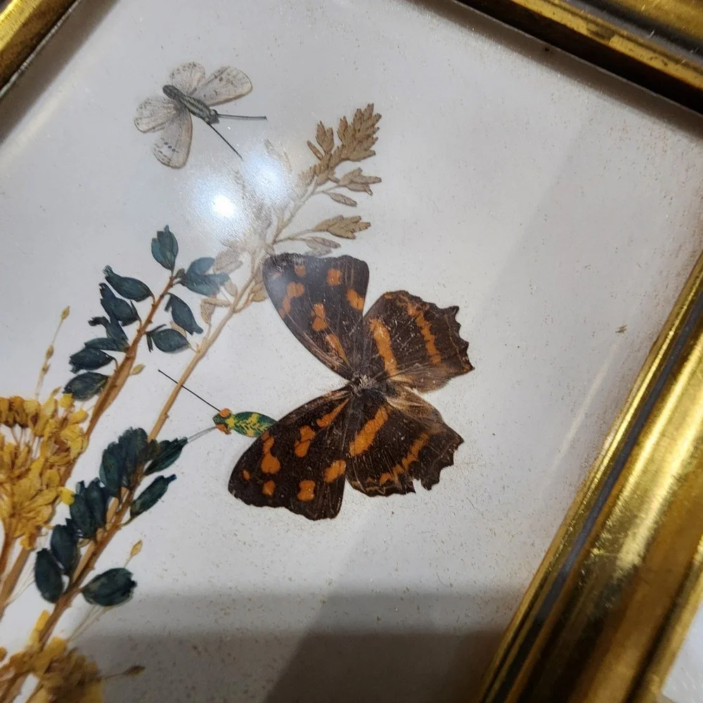 Vintage Reichlin Switzerland Pressed Flower Butterfly Art Gold Frames Set of 2